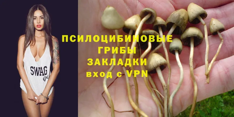 Псилоцибиновые грибы Magic Shrooms  Тулун 